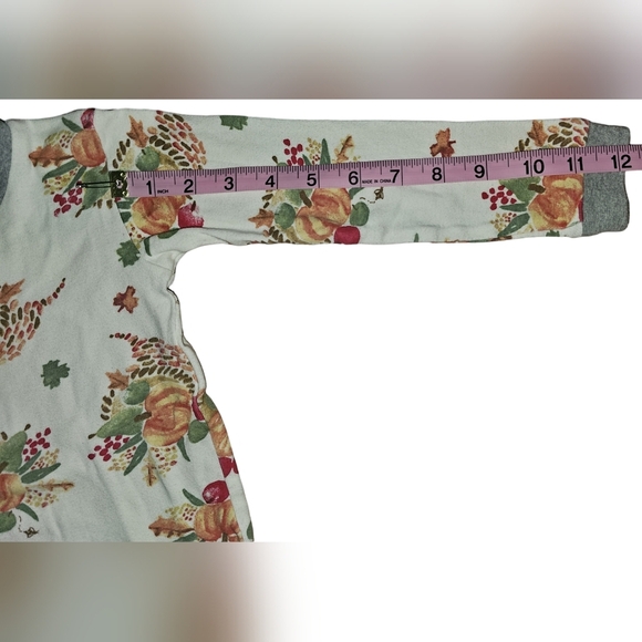 Burt's Bees Kids Boy Girl Thanksgiving Celebration Organic 2pc PJ Set Sz 4T - Picture 6 of 16